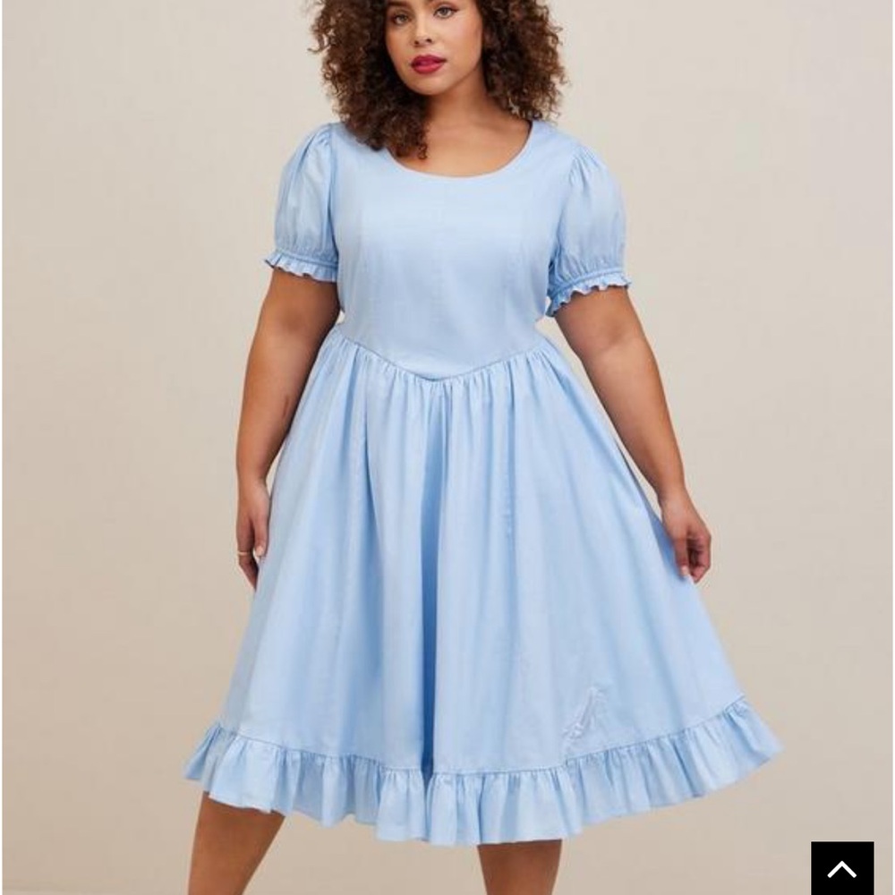 Torrid princess dress